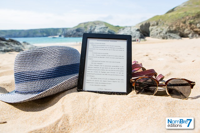 De la question de la digitalisation du livre